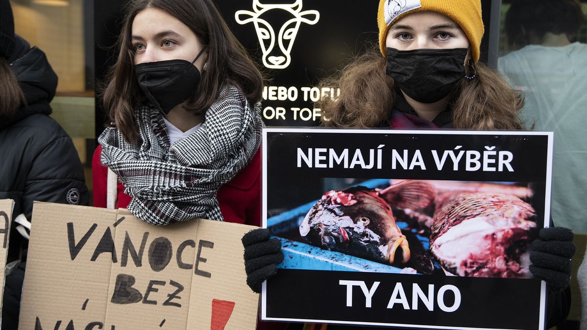 Obrazem: Demonstranti v Praze protestovali proti zabíjení kaprů